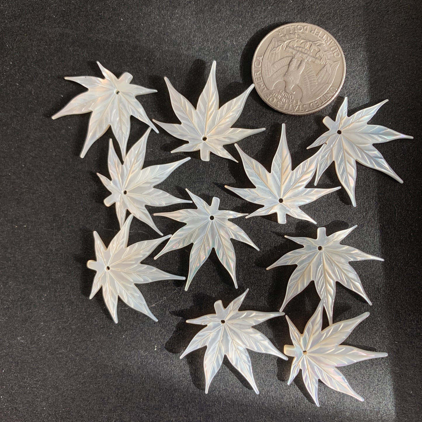 Mother of Pearl - THE Leaf - 26 x 30mm