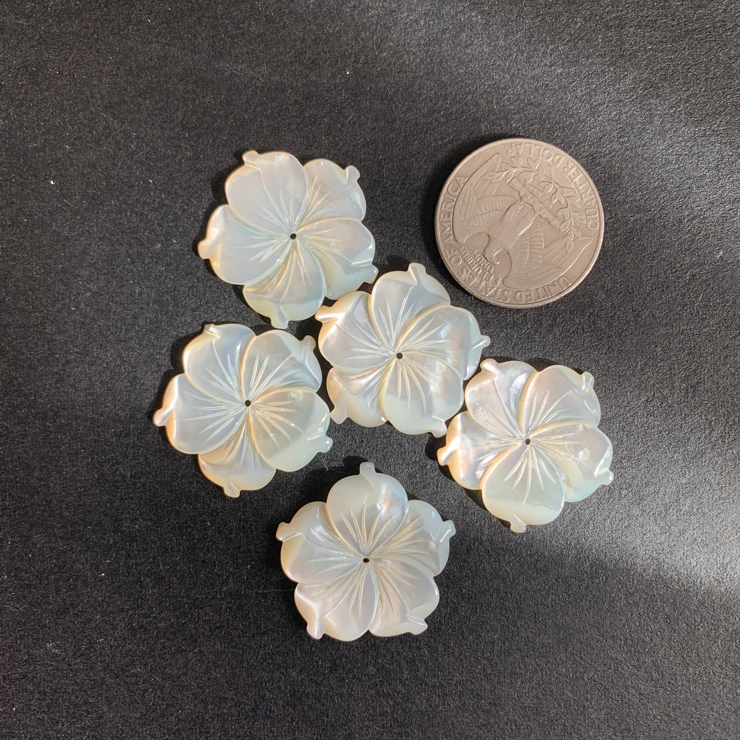 Mother of Pearl - Flower - 25mm