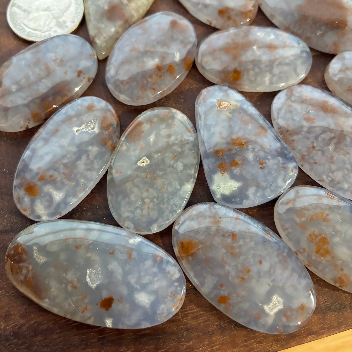 Polka Dot Chalcedony - Cabochon - Oval Teardrop Freeform