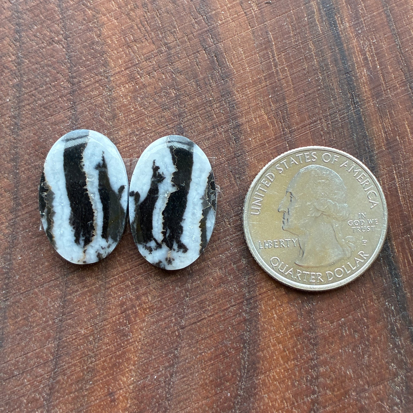 Zebra Jasper - Cabochon Pair - Oval - Teardrop