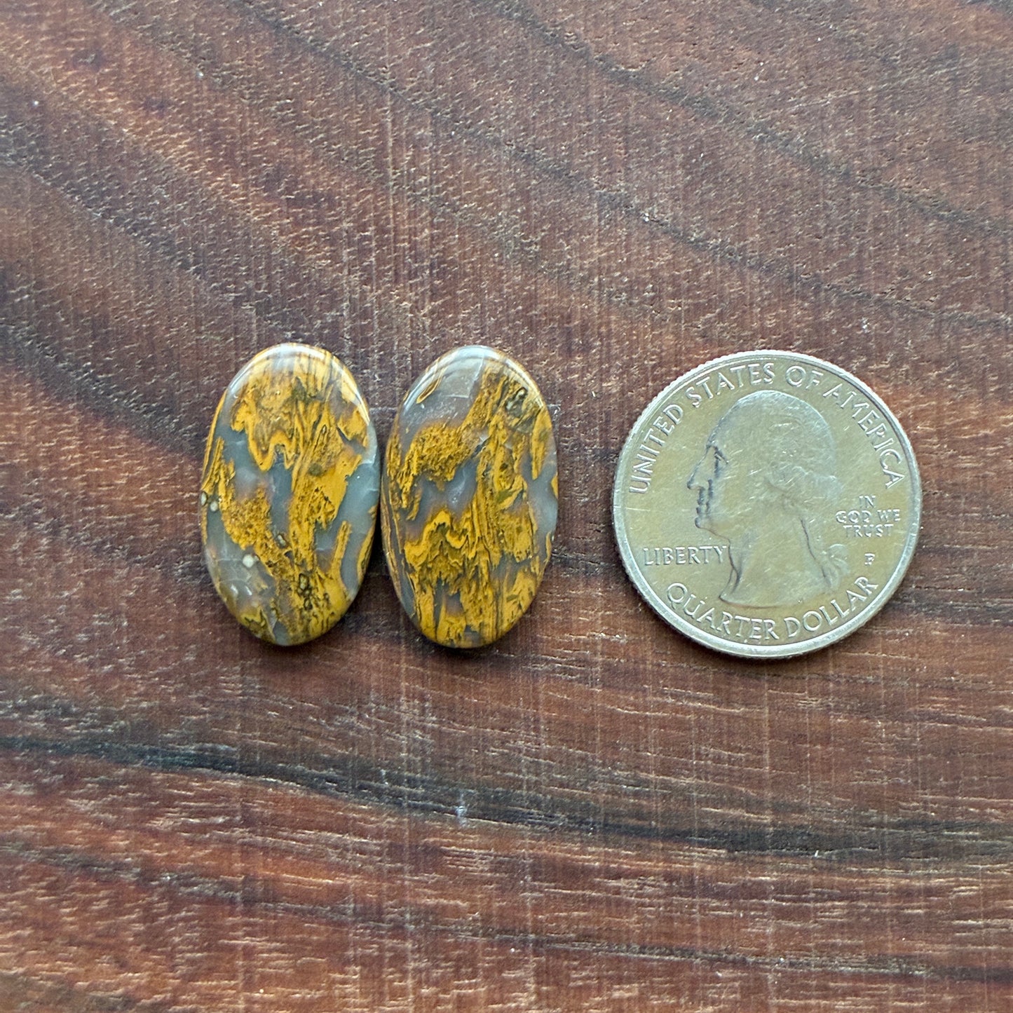 Ocean Jasper - Cabochon Pair - Oval - Teardrop - Rectangle