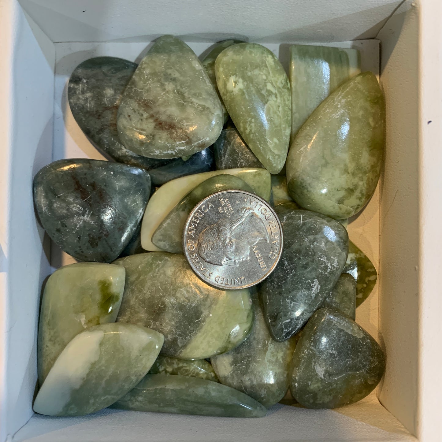 $2.5 Cabochon - Argonite - Serpentine - Sonora - Polka Dot Chalcedony - Yellow Dendritic - Palm Root
