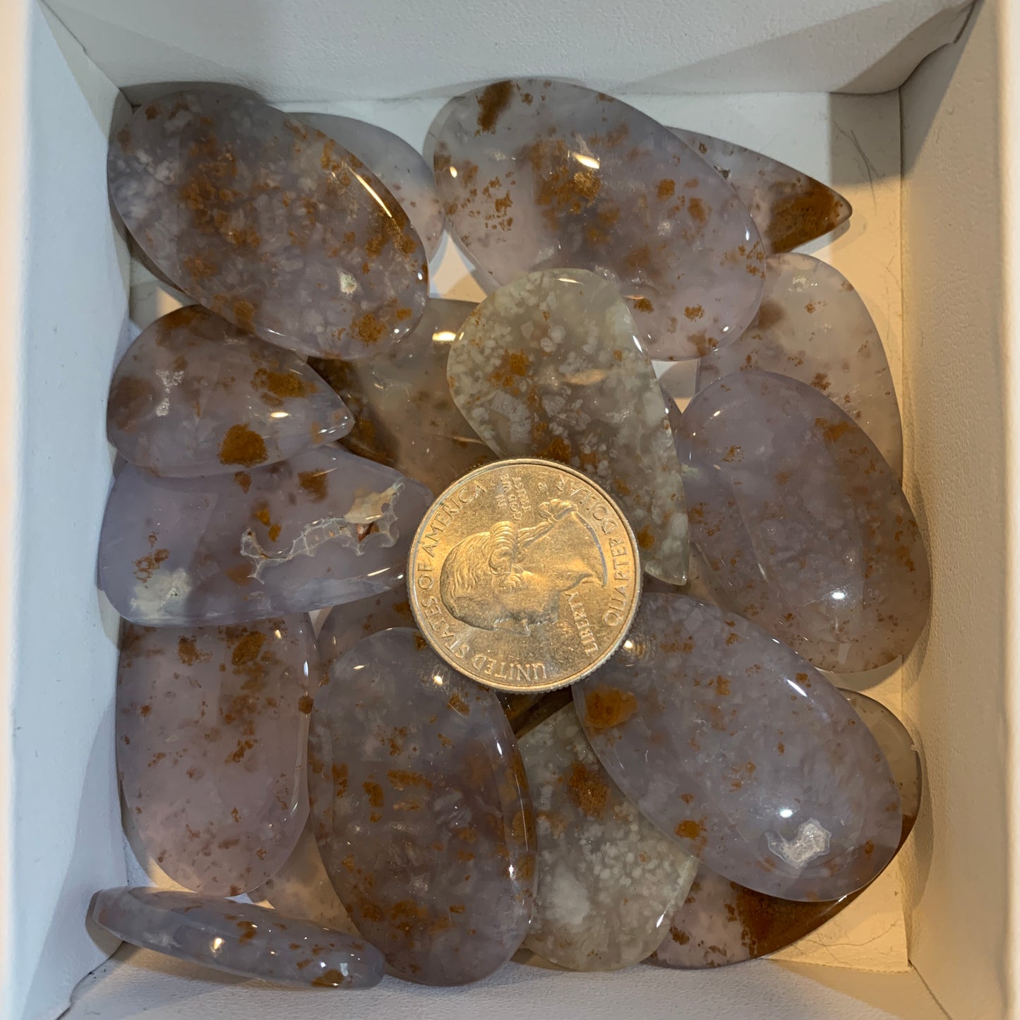 $2.5 Cabochon - Argonite - Serpentine - Sonora - Polka Dot Chalcedony - Yellow Dendritic - Palm Root