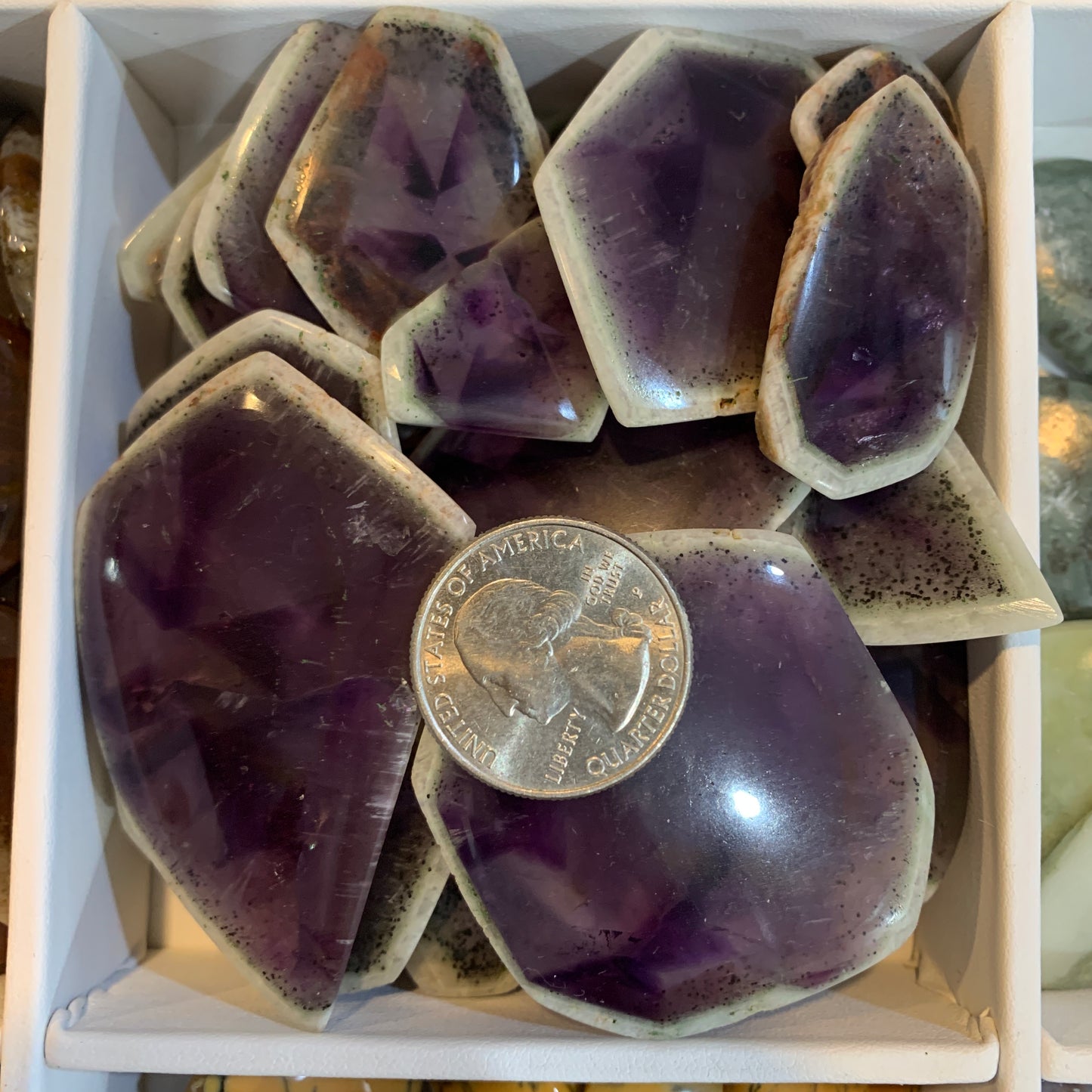 $2.5 Cabochon - Argonite - Serpentine - Sonora - Polka Dot Chalcedony - Yellow Dendritic - Palm Root