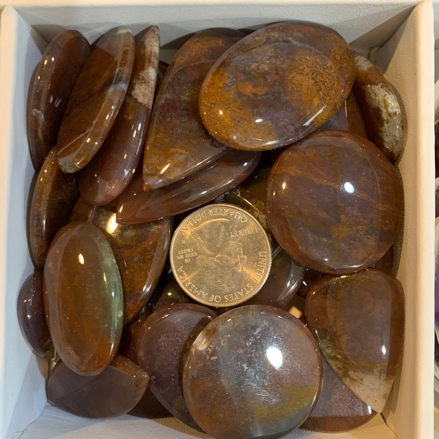 $2.5 Cabochon - Argonite - Serpentine - Sonora - Polka Dot Chalcedony - Yellow Dendritic - Palm Root