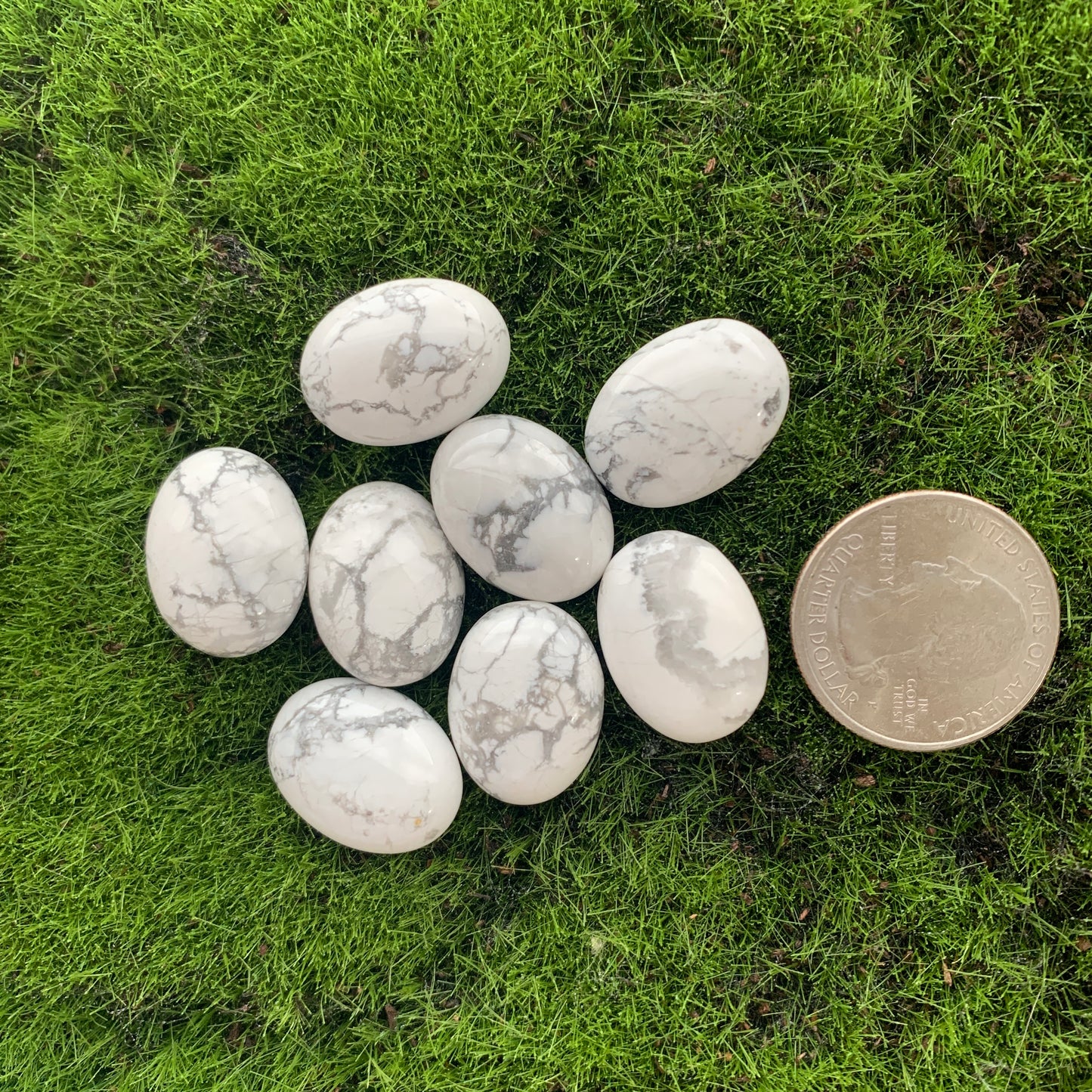 $3 Cabochon - Lapis - Carnelian - Opalite - Howlite - Clear Quartz - Ocean Jasper