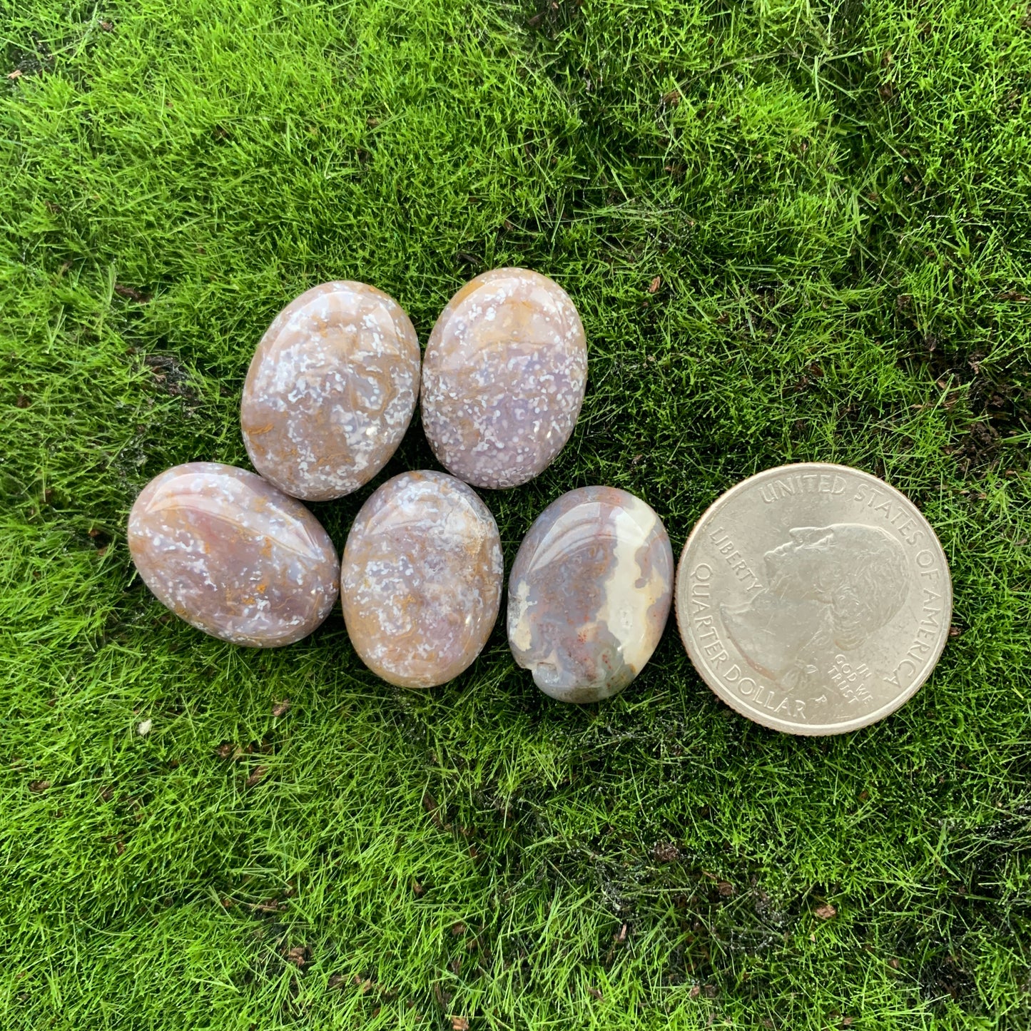$3 Cabochon - Lapis - Carnelian - Opalite - Howlite - Clear Quartz - Ocean Jasper
