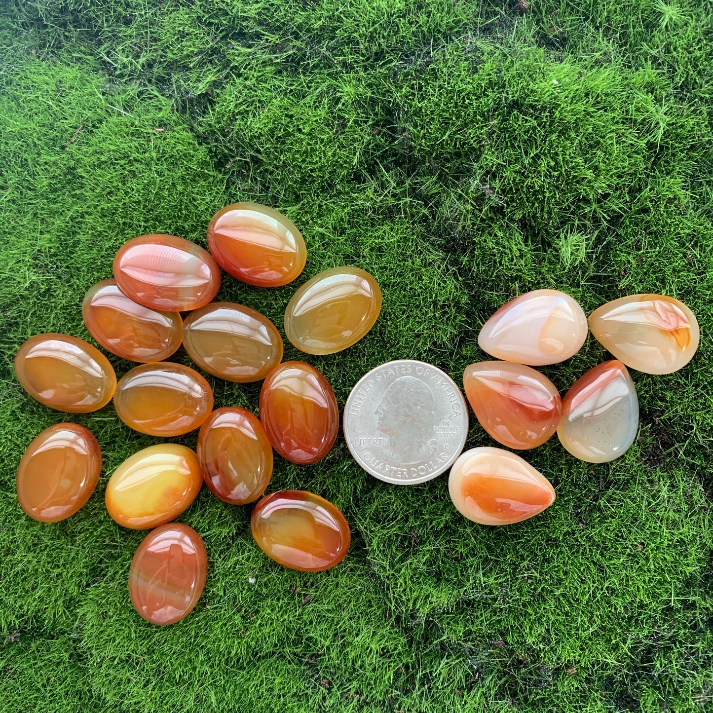 $3 Cabochon - Lapis - Carnelian - Opalite - Howlite - Clear Quartz - Ocean Jasper