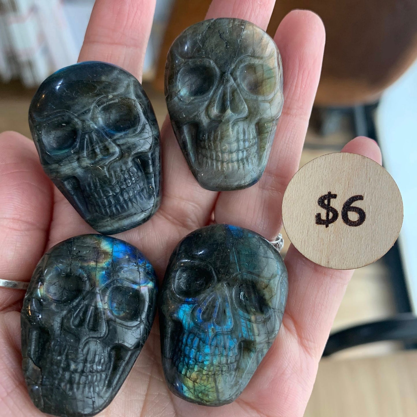 Lab Skull - Flatback