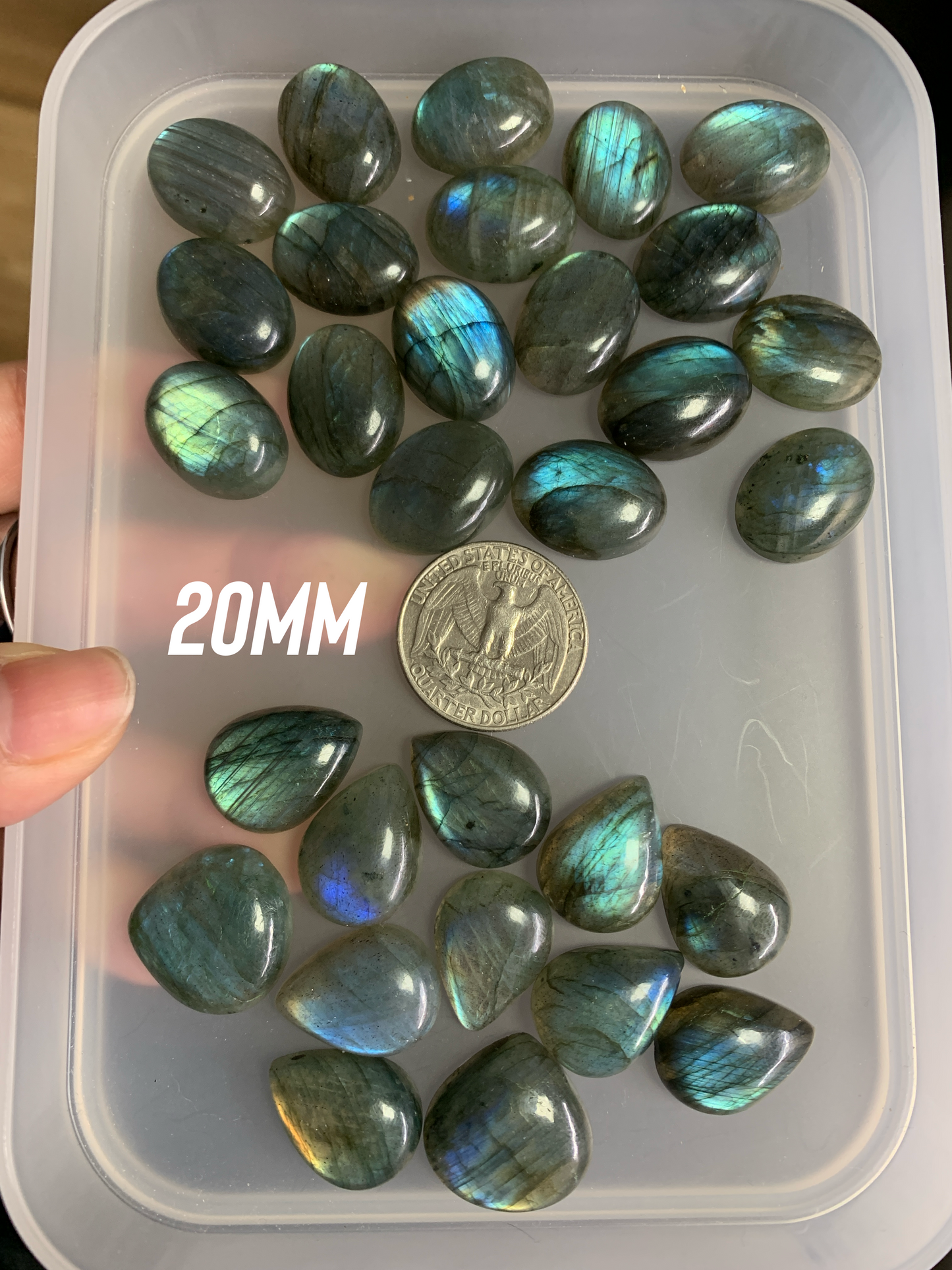 Labradorite Cabochon (9-18mm)