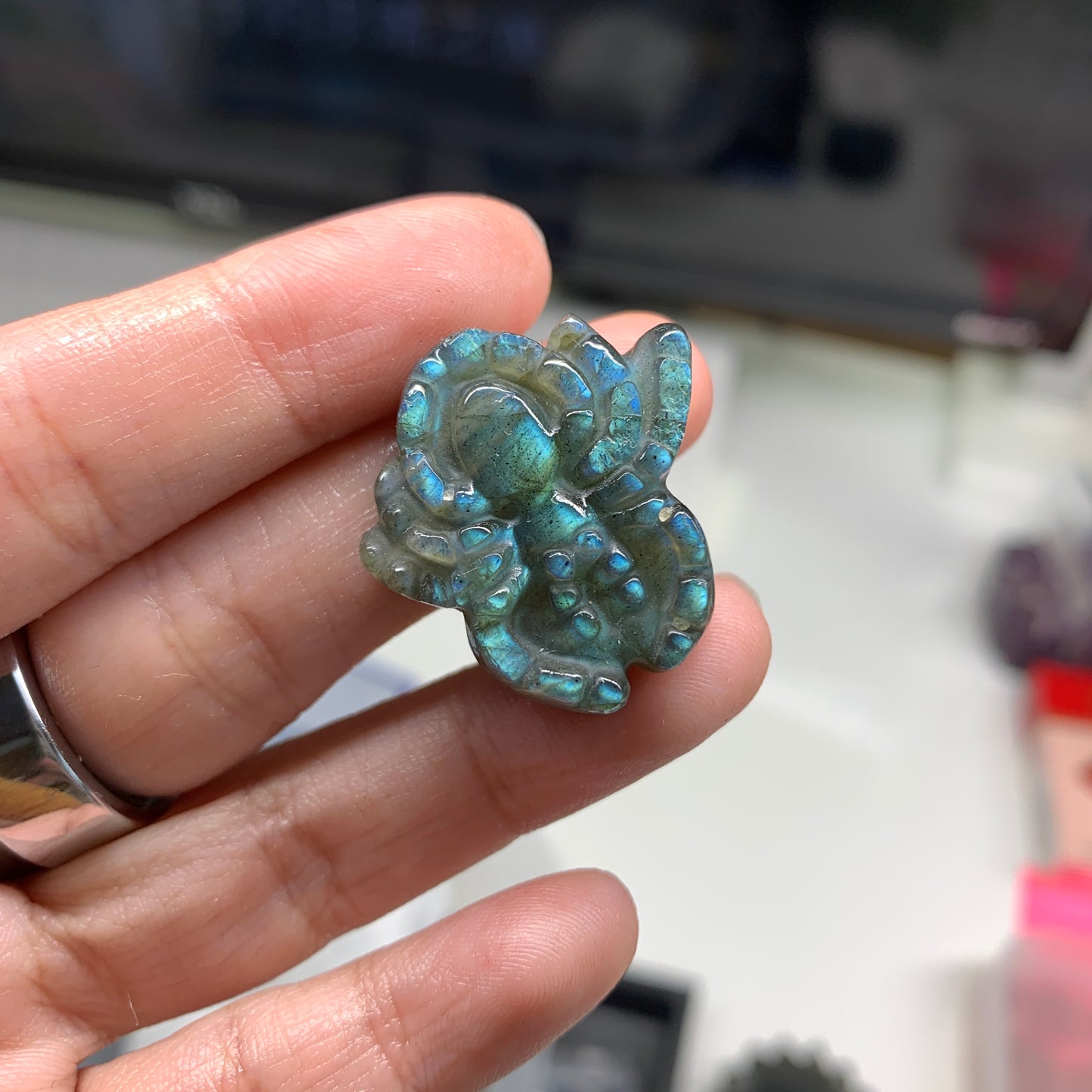 Labradorite Carving (LABCAV075)