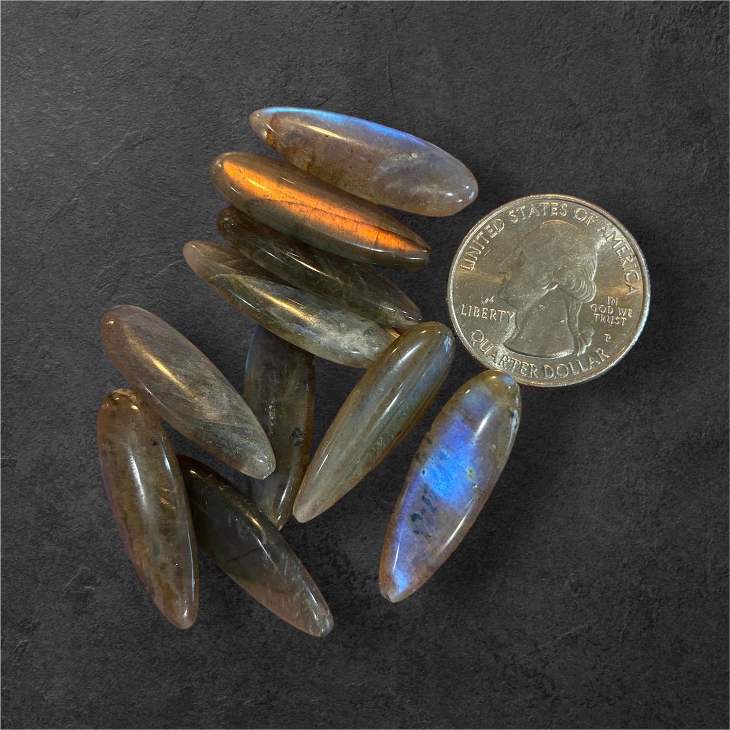 Oval-shaped Labradorite with reflective surfaces on a dark surface, next to a U.S. quarter for scale.