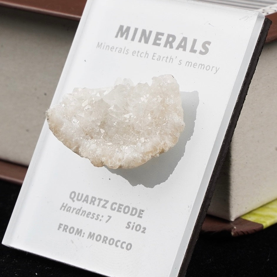 OVERSEAS ORDER - Mineral Fridge Magnet