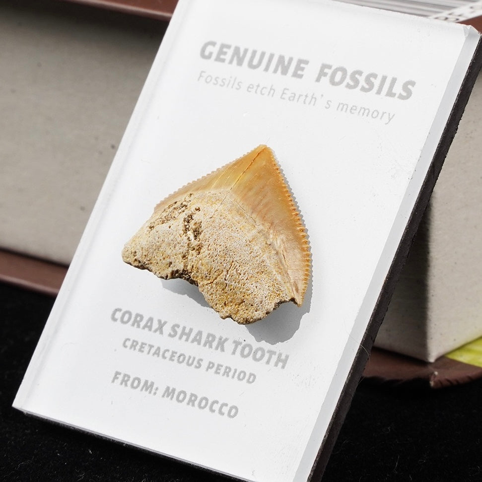 OVERSEAS ORDER - Mineral Fridge Magnet