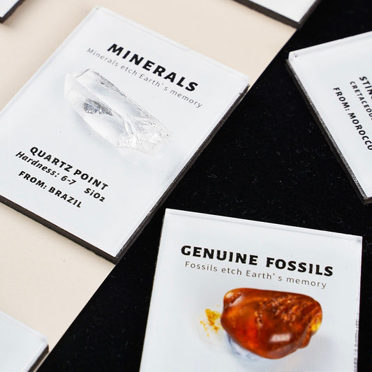 OVERSEAS ORDER - Mineral Fridge Magnet