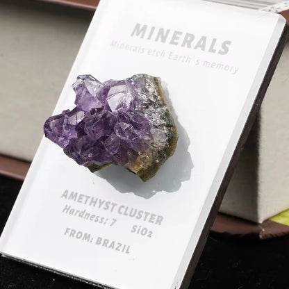 OVERSEAS ORDER - Mineral Fridge Magnet