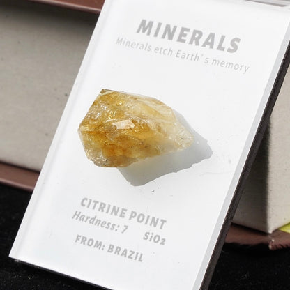 OVERSEAS ORDER - Mineral Fridge Magnet