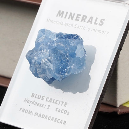 OVERSEAS ORDER - Mineral Fridge Magnet