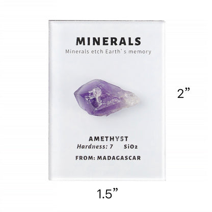 OVERSEAS ORDER - Mineral Fridge Magnet