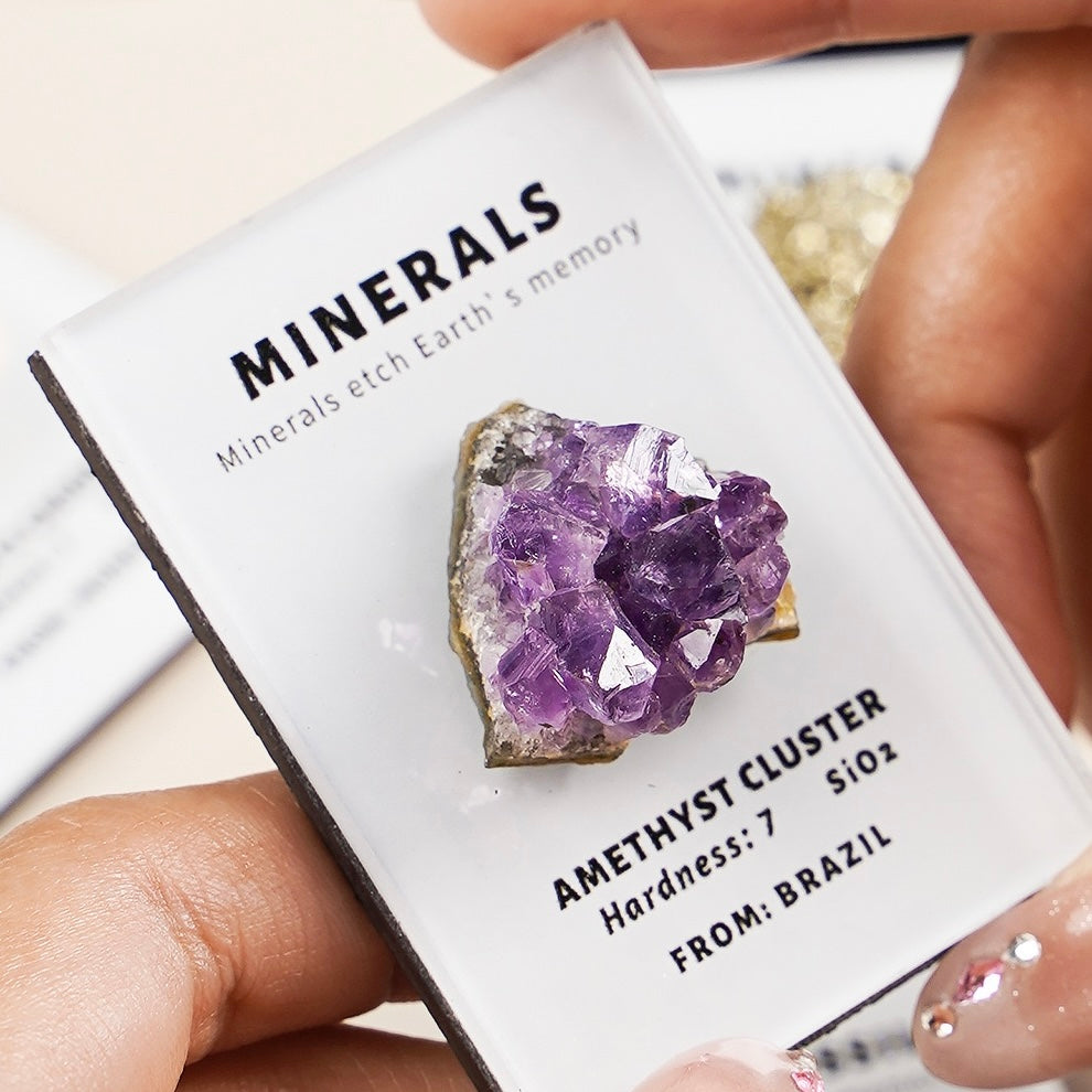 OVERSEAS ORDER - Mineral Fridge Magnet