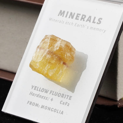OVERSEAS ORDER - Mineral Fridge Magnet