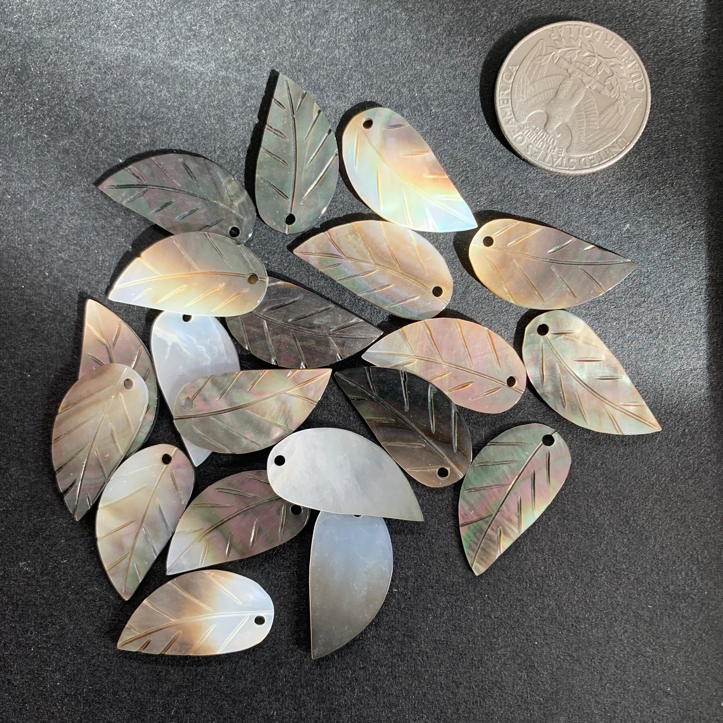 Mother of Pearl - Leaf - 16 x 30mm