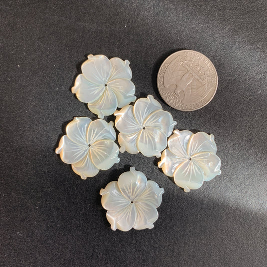 Mother of Pearl - Flower - 25mm