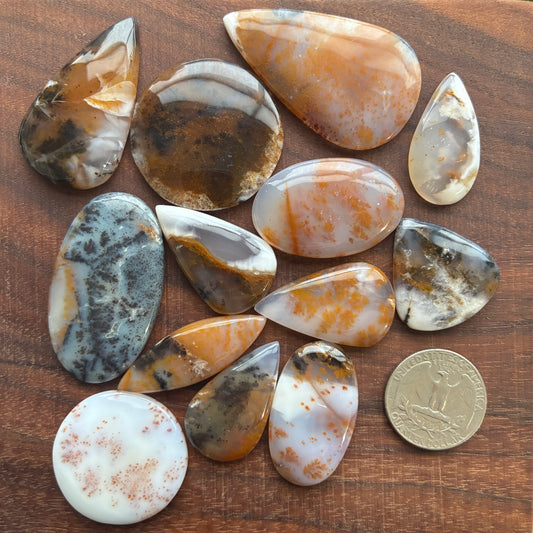 Dendritic Opal Cabochon - Oval - Teardrop - Round - Marquise