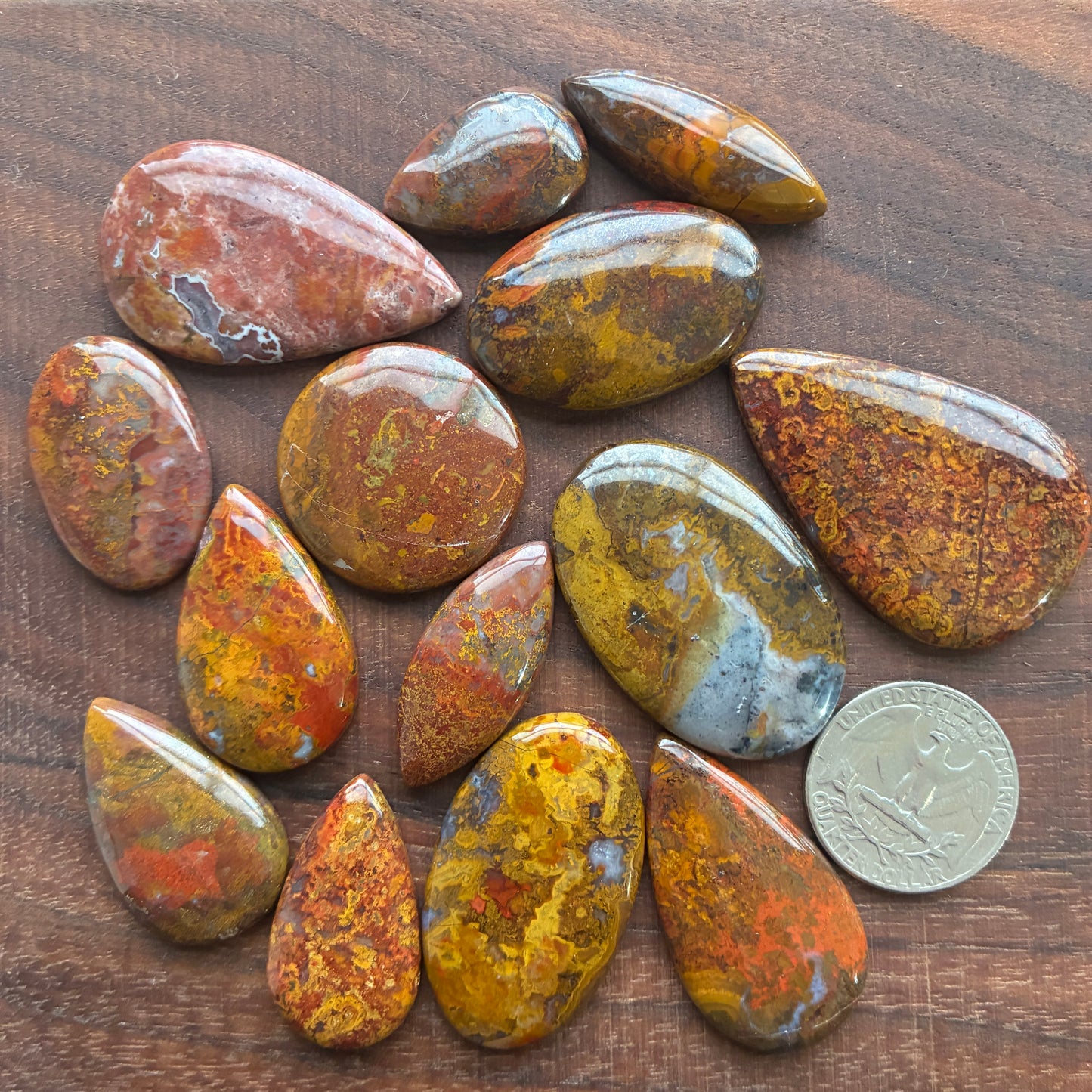 Seam Agate Cabochon - Oval - Round - Marquise - Teardrop