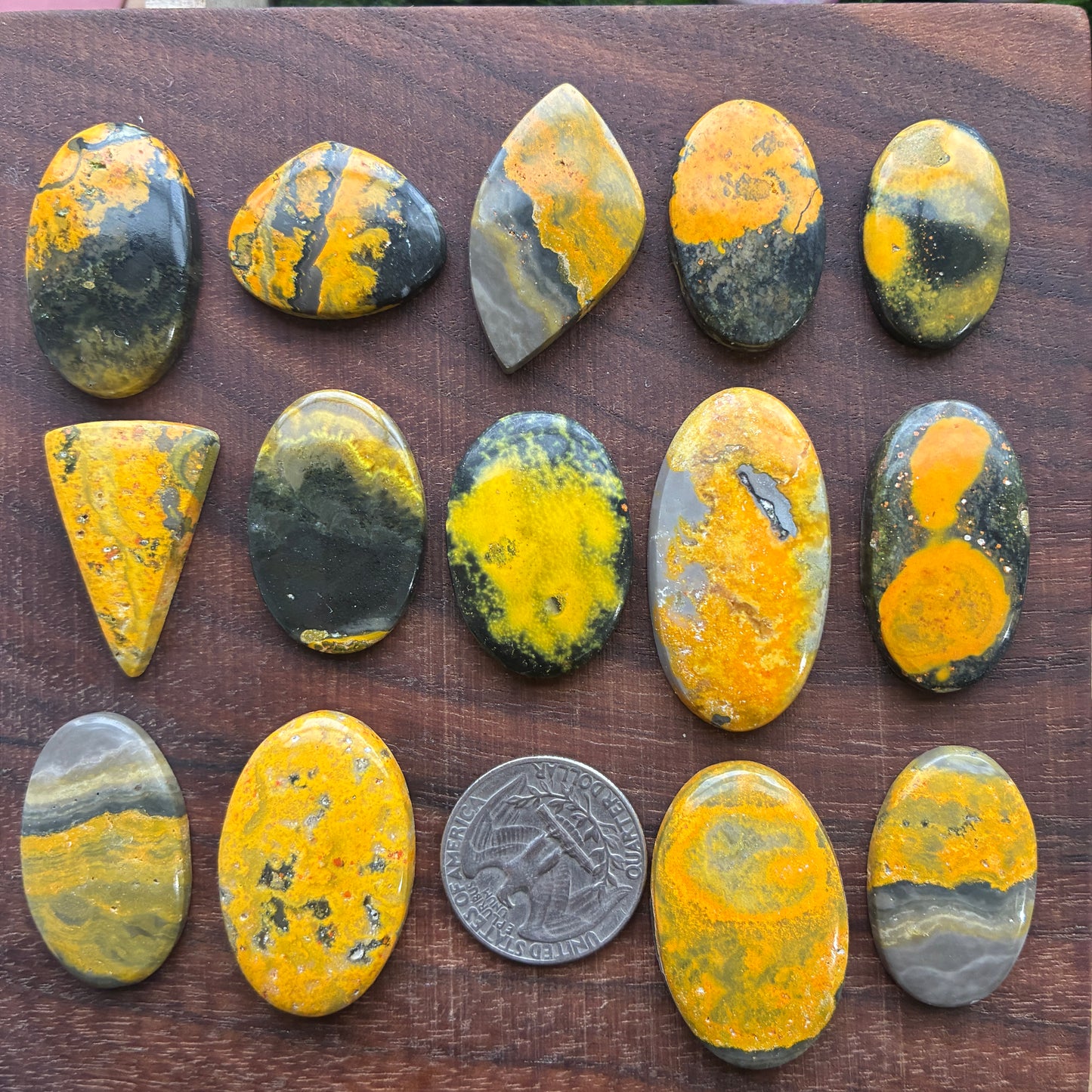 Bumblebee Jasper Cabochon - Yellow - Oval