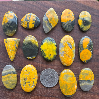 Bumblebee Jasper Cabochon - Yellow - Oval