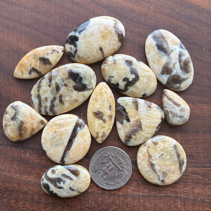 Graphic Feldspar Cabochon - Oval Round - Teardrop - Marquise