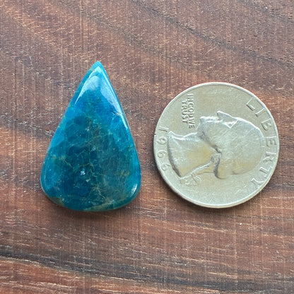 Blue Apatite (Darker) Cabochon - Oval - Teardrop