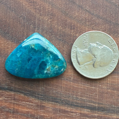 Blue Apatite (Darker) Cabochon - Oval - Teardrop