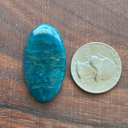 Blue Apatite (Darker) Cabochon - Oval - Teardrop