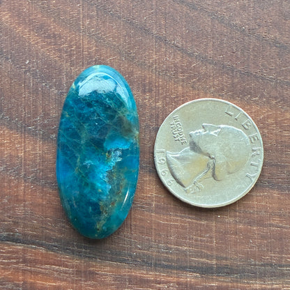 Blue Apatite (Darker) Cabochon - Oval - Teardrop