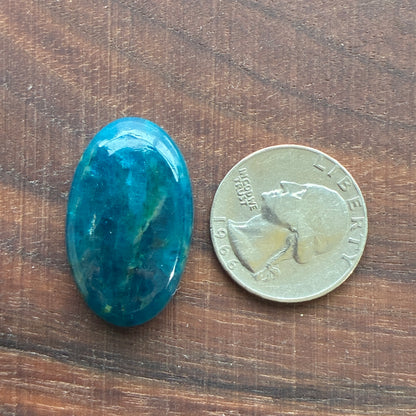 Blue Apatite (Darker) Cabochon - Oval - Teardrop