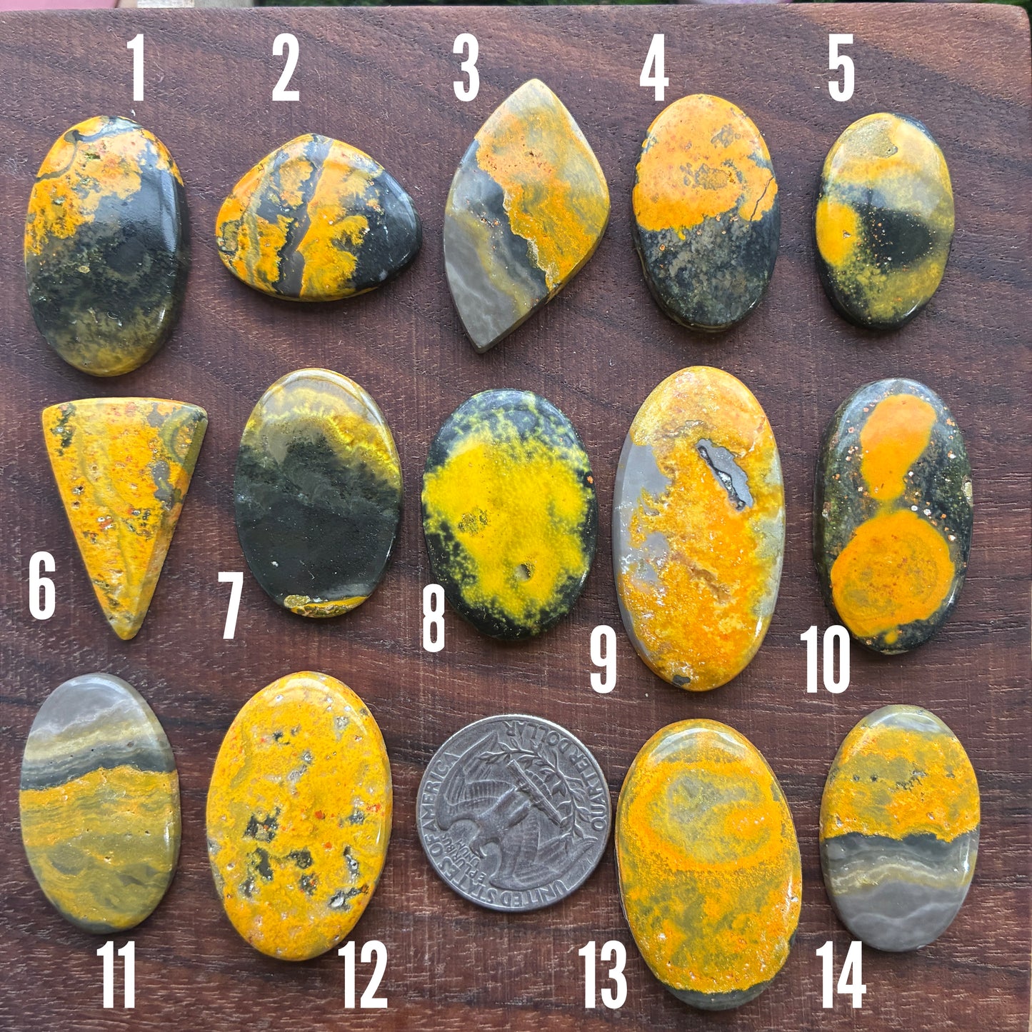 Bumblebee Jasper Cabochon - Yellow - Oval