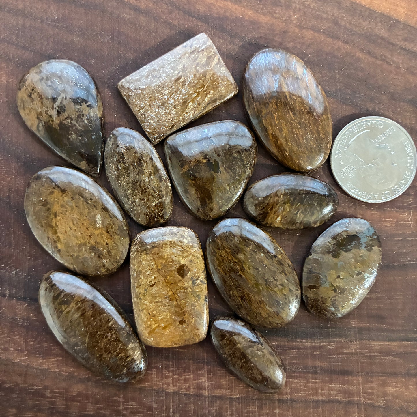 Bronzite Cabochon - Oval - Retangle - Teardrop