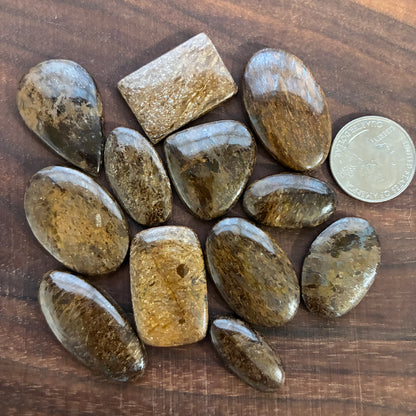 Bronzite Cabochon - Oval - Retangle - Teardrop