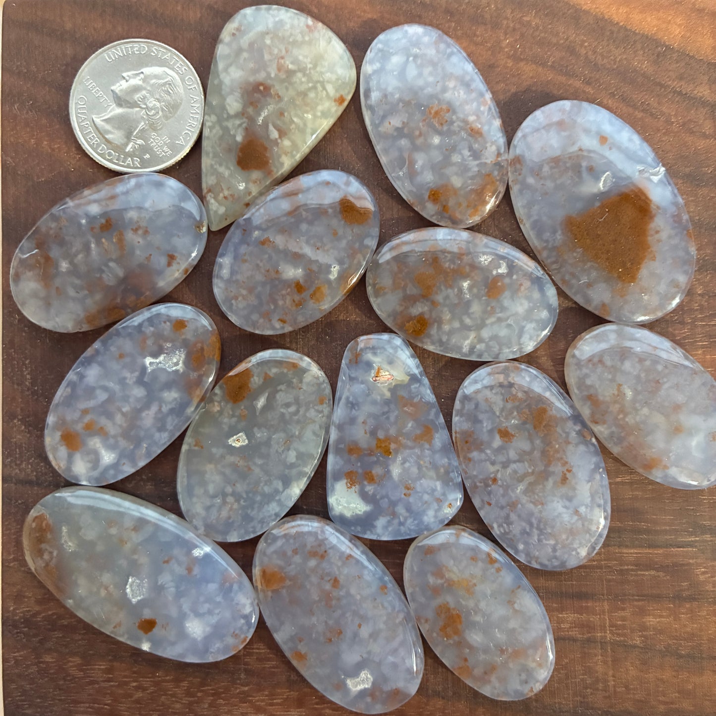 Polka Dot Chalcedony - Cabochon - Oval Teardrop Freeform