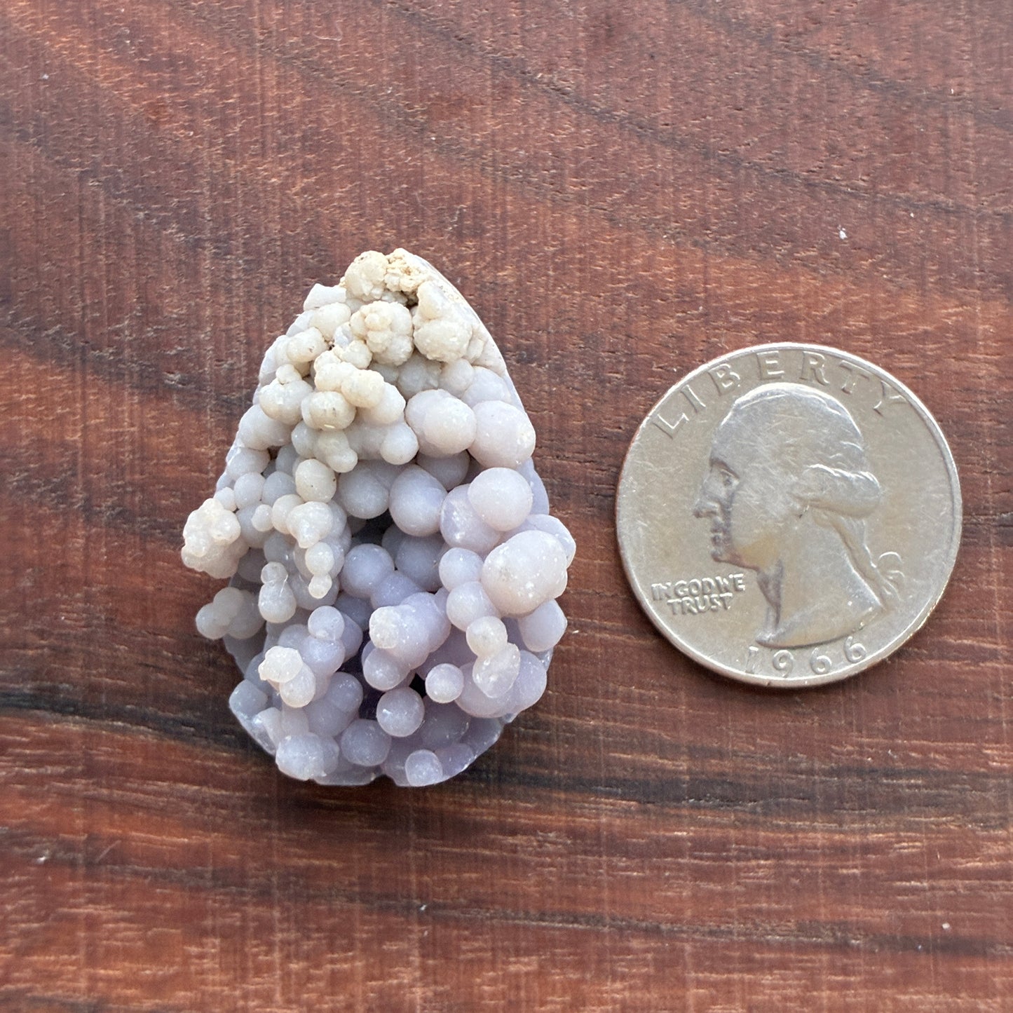 Grape Agate Cabochon - Polished Back - Puffy - Flatback - Indonesia