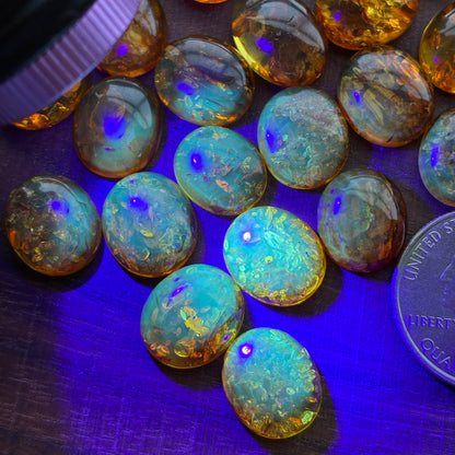 Flower Amber - Cabochon - Ring size - 12 x 14mm - UV Reactive