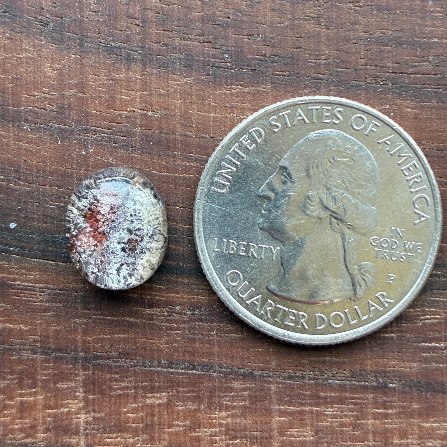 High Quality Garden Quartz - Cabochon - Ring Size - Scenic Crystal