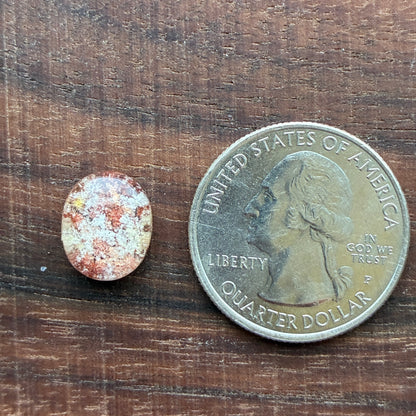 High Quality Garden Quartz - Cabochon - Ring Size - Scenic Crystal