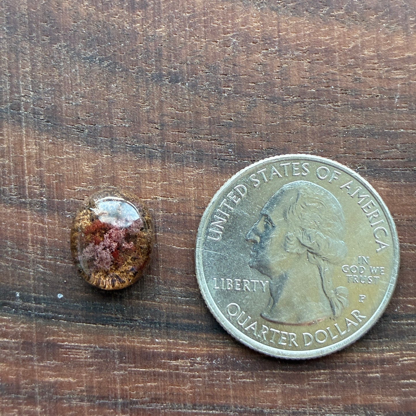 High Quality Garden Quartz - Cabochon - Ring Size - Scenic Crystal