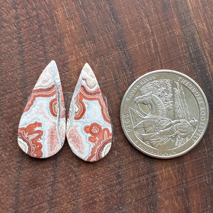 Rosetta Jasper - Cabochon Pair - Oval - Teardrop