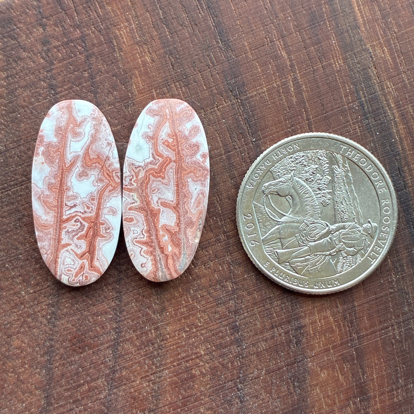 Rosetta Jasper - Cabochon Pair - Oval - Teardrop