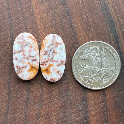 Rosetta Jasper - Cabochon Pair - Oval - Teardrop