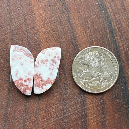 Rosetta Jasper - Cabochon Pair - Oval - Teardrop